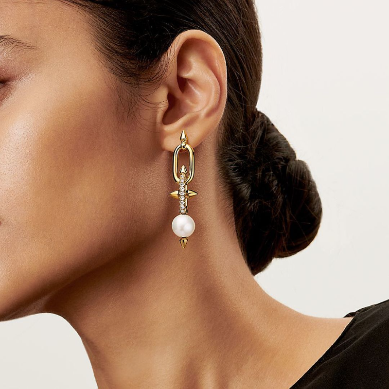 A1239 Women's new fashionable earrings and jewelry